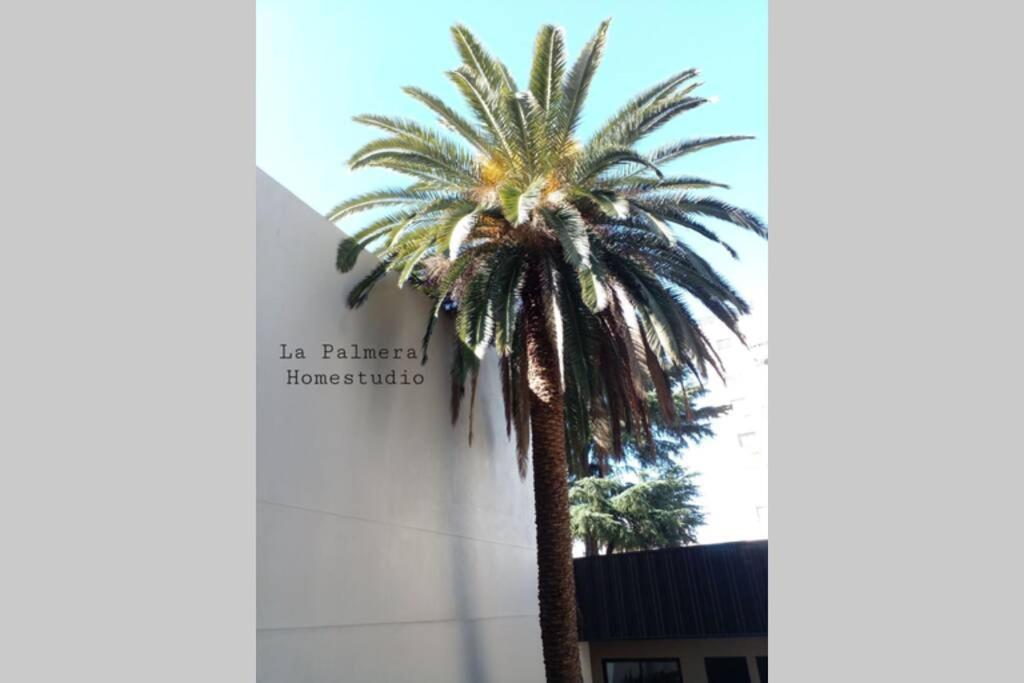La Palmera Homestudio. Hermoso Apartamento En El Corazon De Palermo Hollywood Buenos Aires Exteriör bild